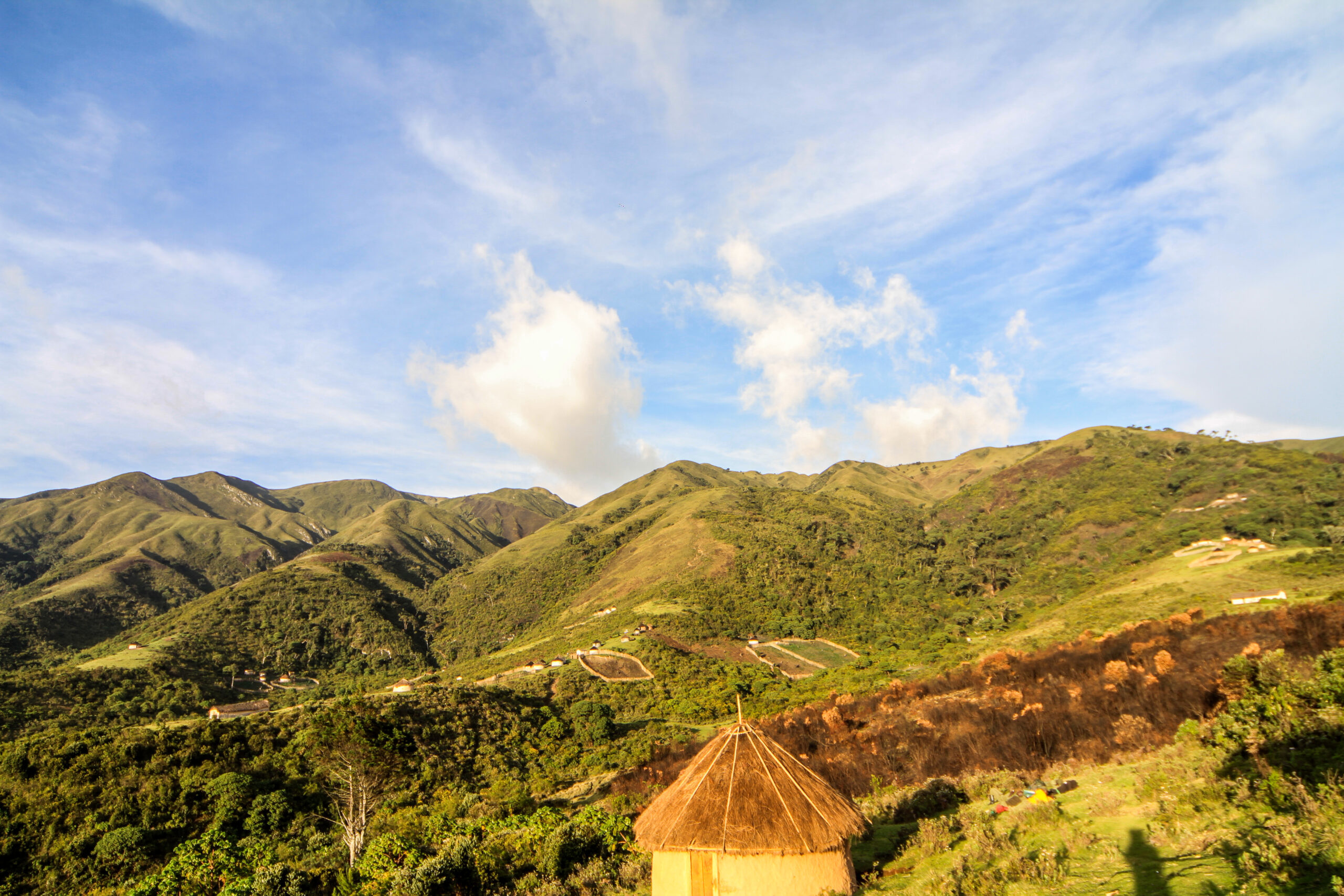 Hute des pygmées du Village Mbanga dans le paysage RNI,© WWF-RDC,2017